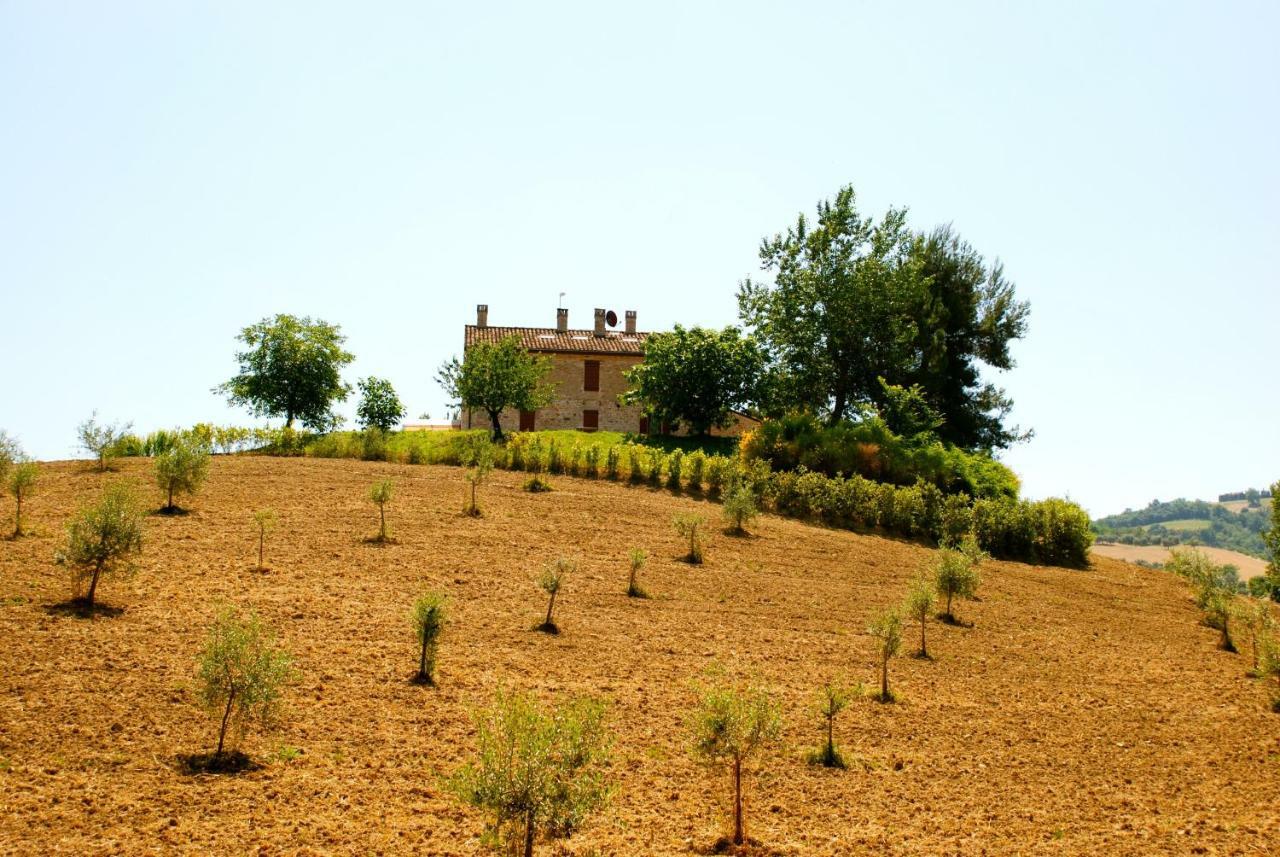 Il Casale Di Giovanna Offida Luaran gambar